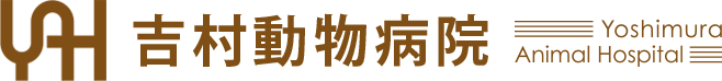 吉村動物病院トップページへ