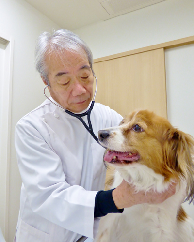 吉村動物病院　院長