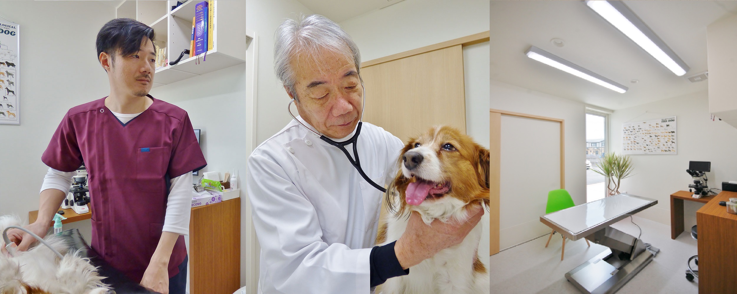 吉村動物病院 福岡県 行橋市 各種予防から手術まで対応
